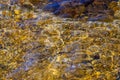 Beautiful circles and reflections of gold and blue on the water Ã¢â¬â Abstract background